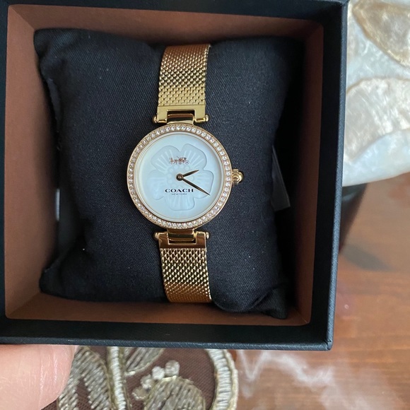 coach mesh watch